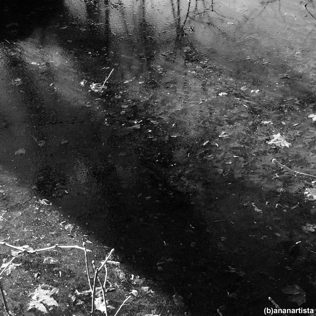 unknown: photography by (b)ananartista