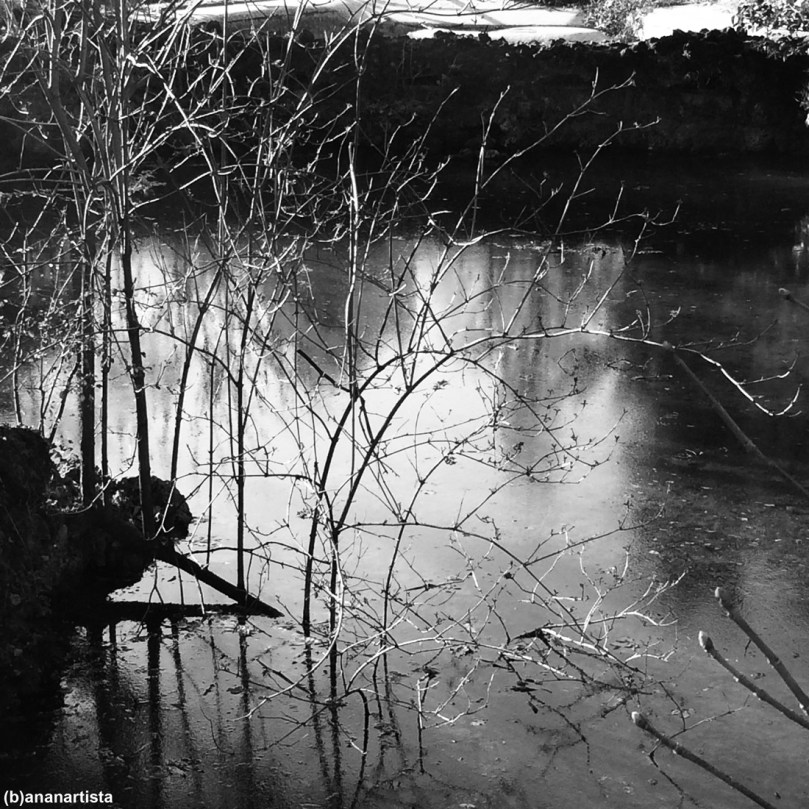 acque rotte: paesaggio di (b)ananartista sbuff
