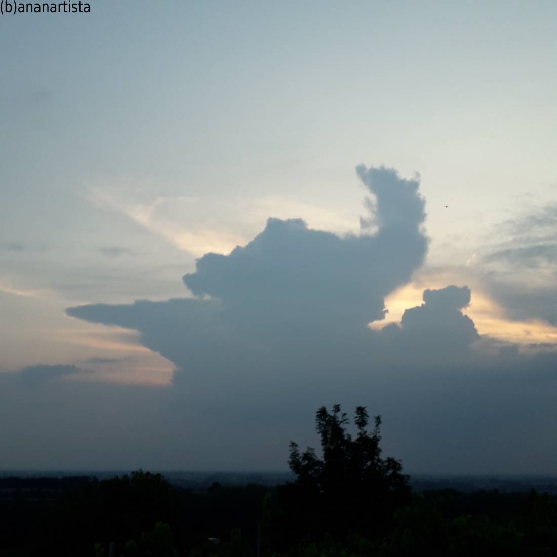 elefante celeste fotografia di (b)ananartista sbuff