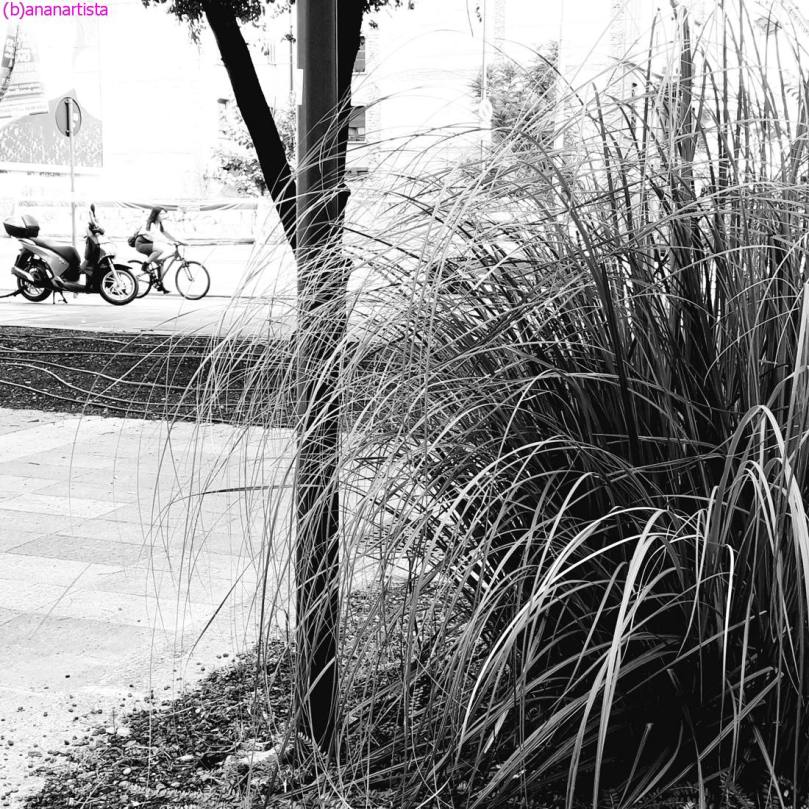 il sorpasso: fotografia di (b)ananartista sbuff