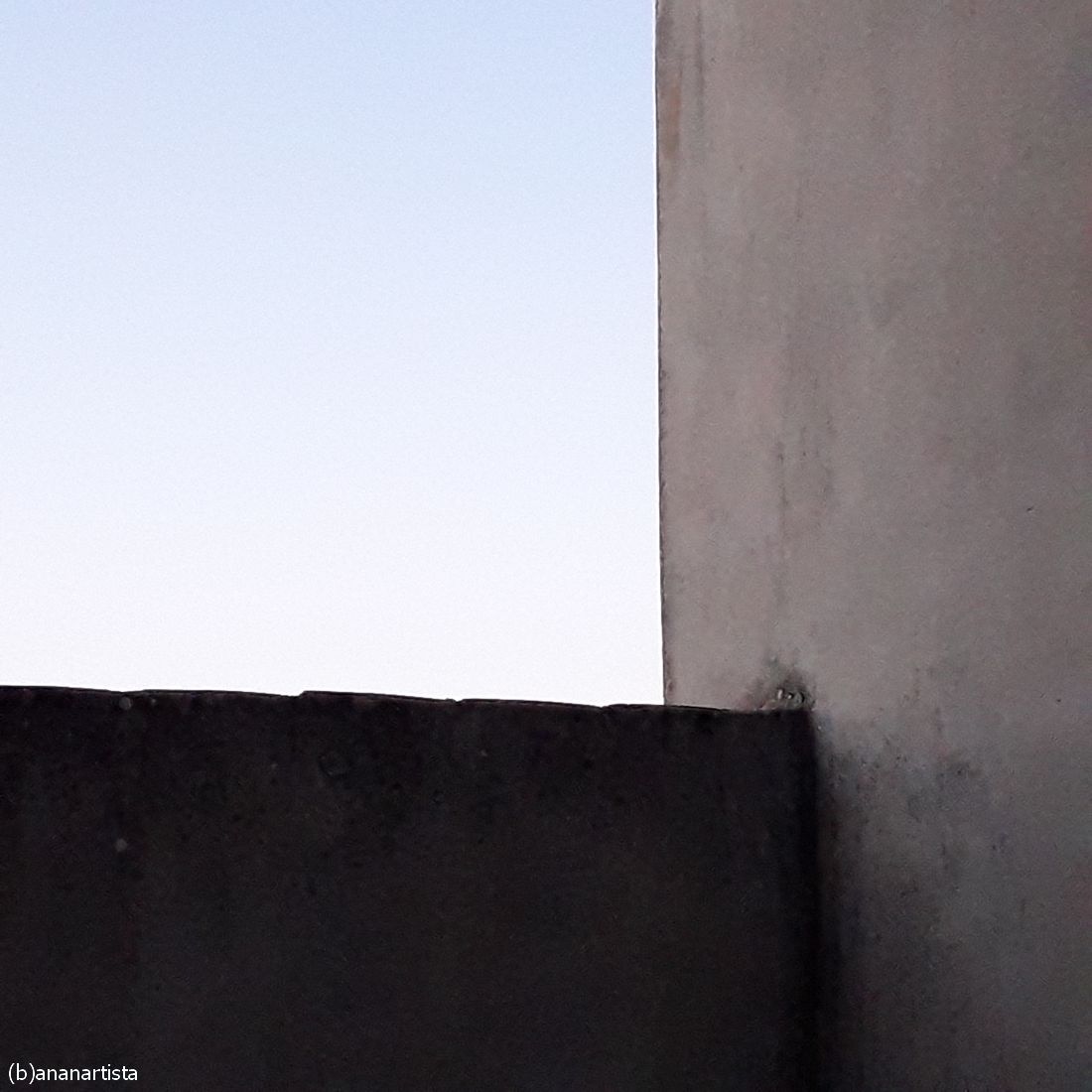 sparizione del soggetto : fotografia di (b)ananartista sbuff