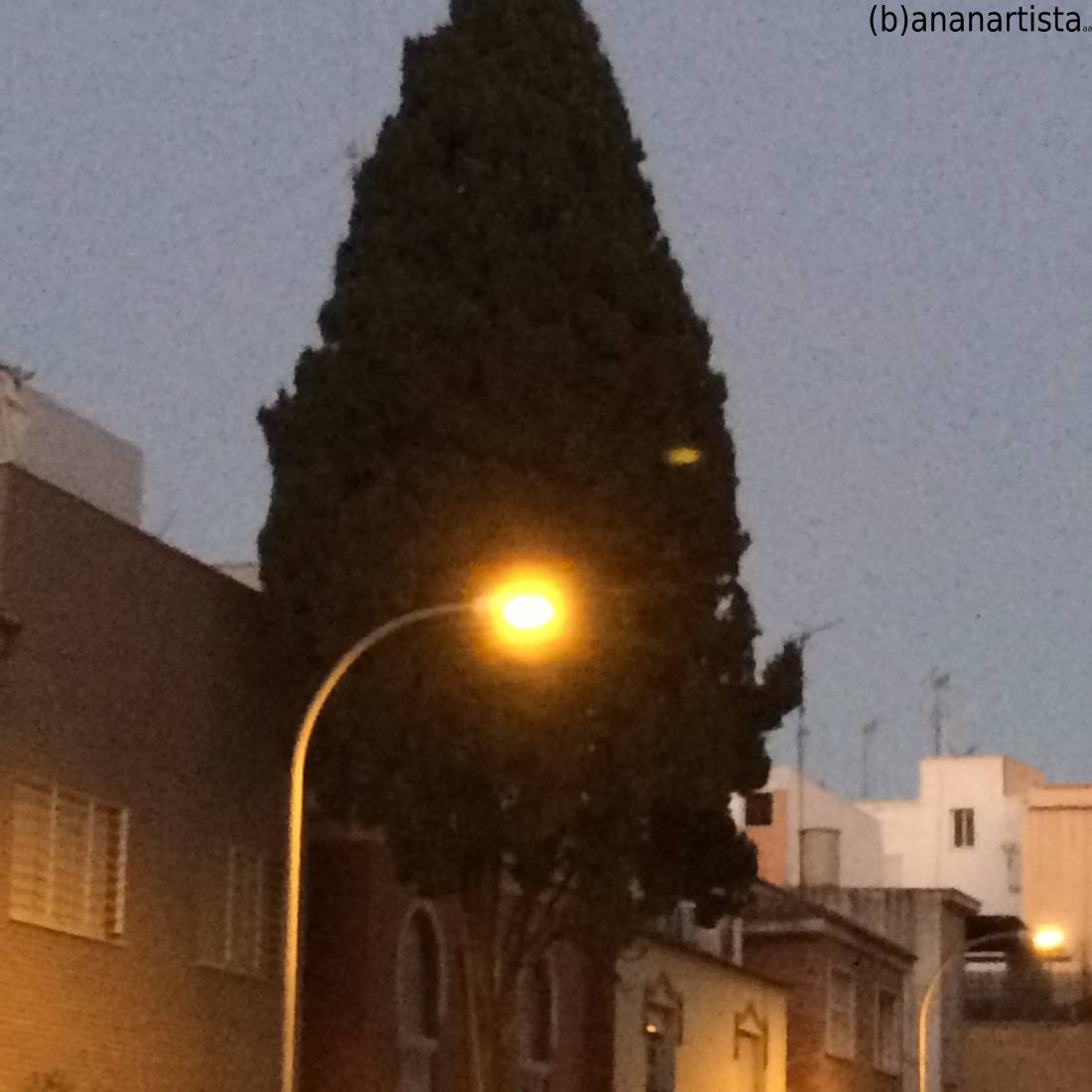 febbre andalusa - fotografia di (b)ananartista sbuff