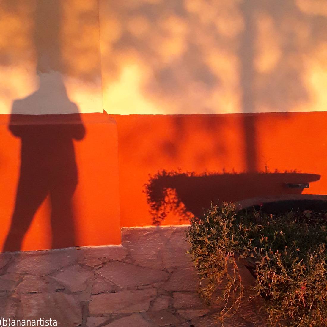 ombre rosse - fotografia di (b)ananartista sbuff