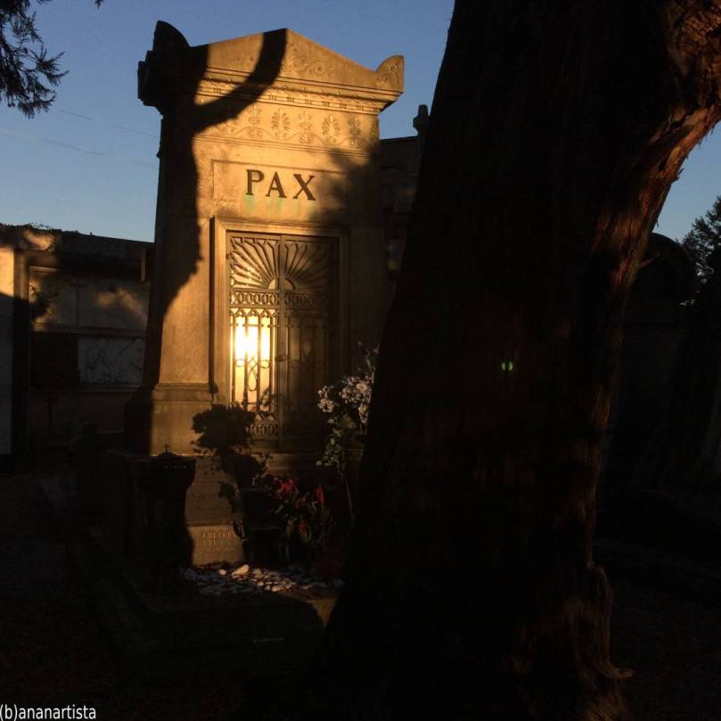 PAX : fotografia di (b)ananartista sbuff