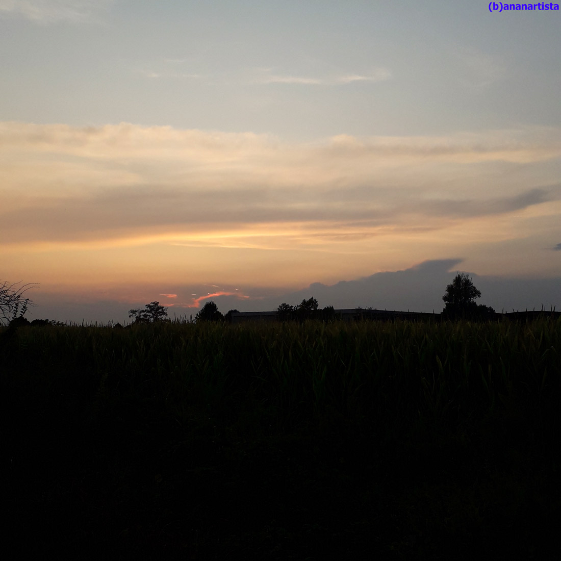 prospettive sperdute : fotografia di (b)ananartista sbuff