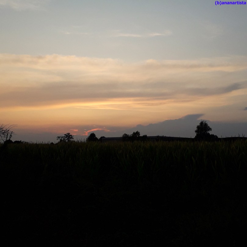 prospettive sperdute : fotografia di (b)ananartista sbuff