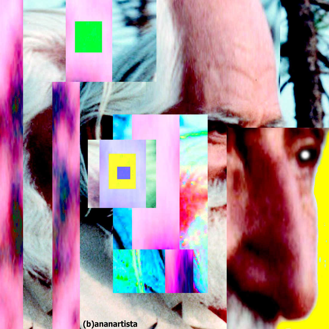 Omraam Mikhaël Aïvanhov portrait by (b)ananartista sbuff