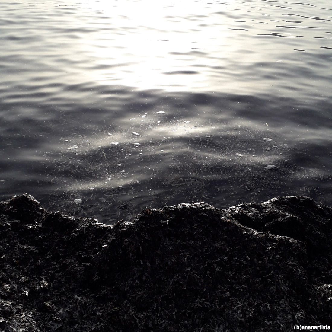 falso piano ettore fotografia di (b)ananartista sbuff