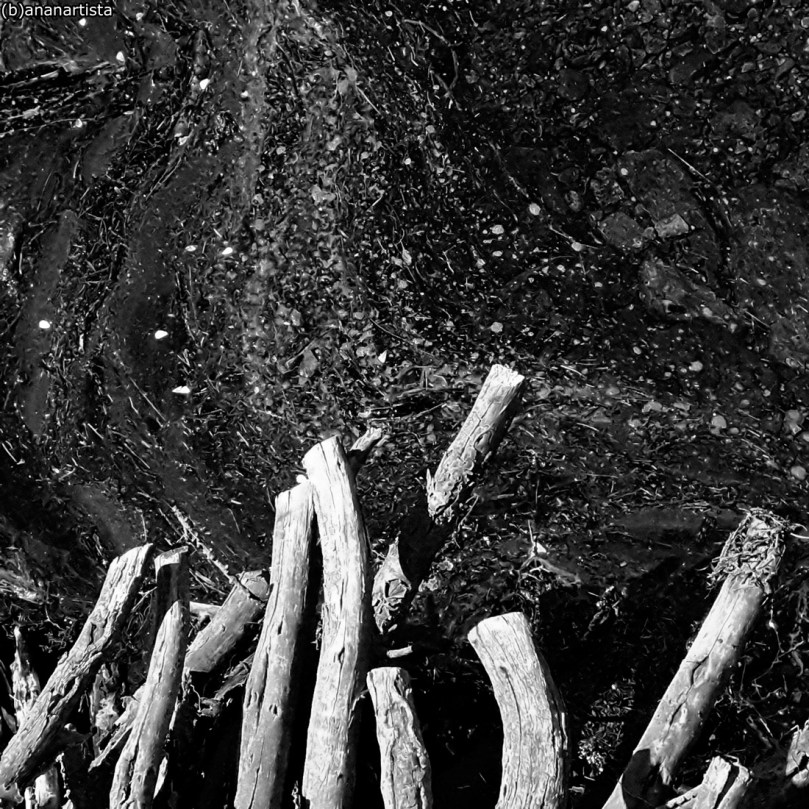 cancelli ade infernale : fotografia di (b)ananartista sbuff