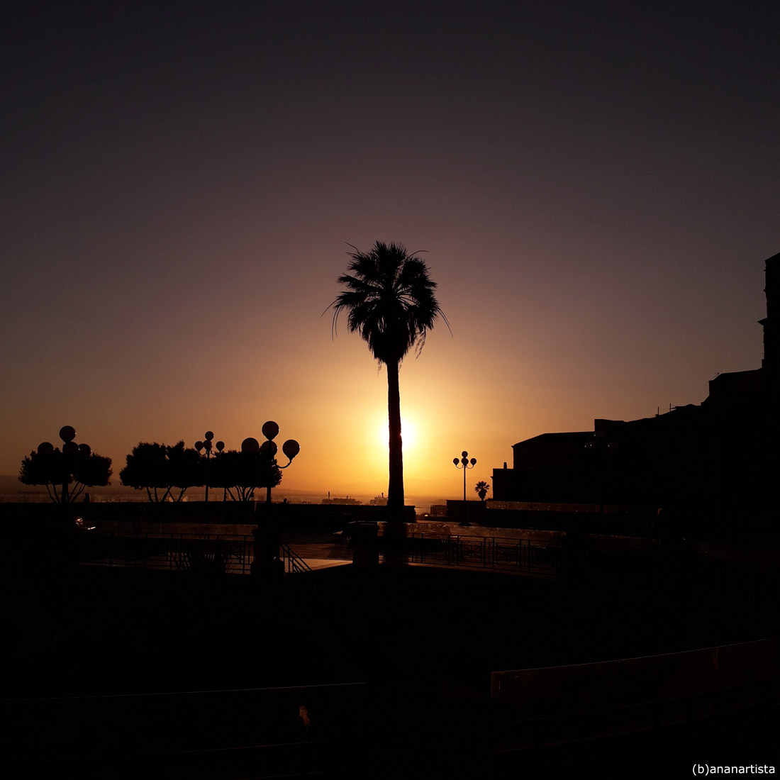 eclissi di palma sardegna fotografia di (b)ananartista sbuff