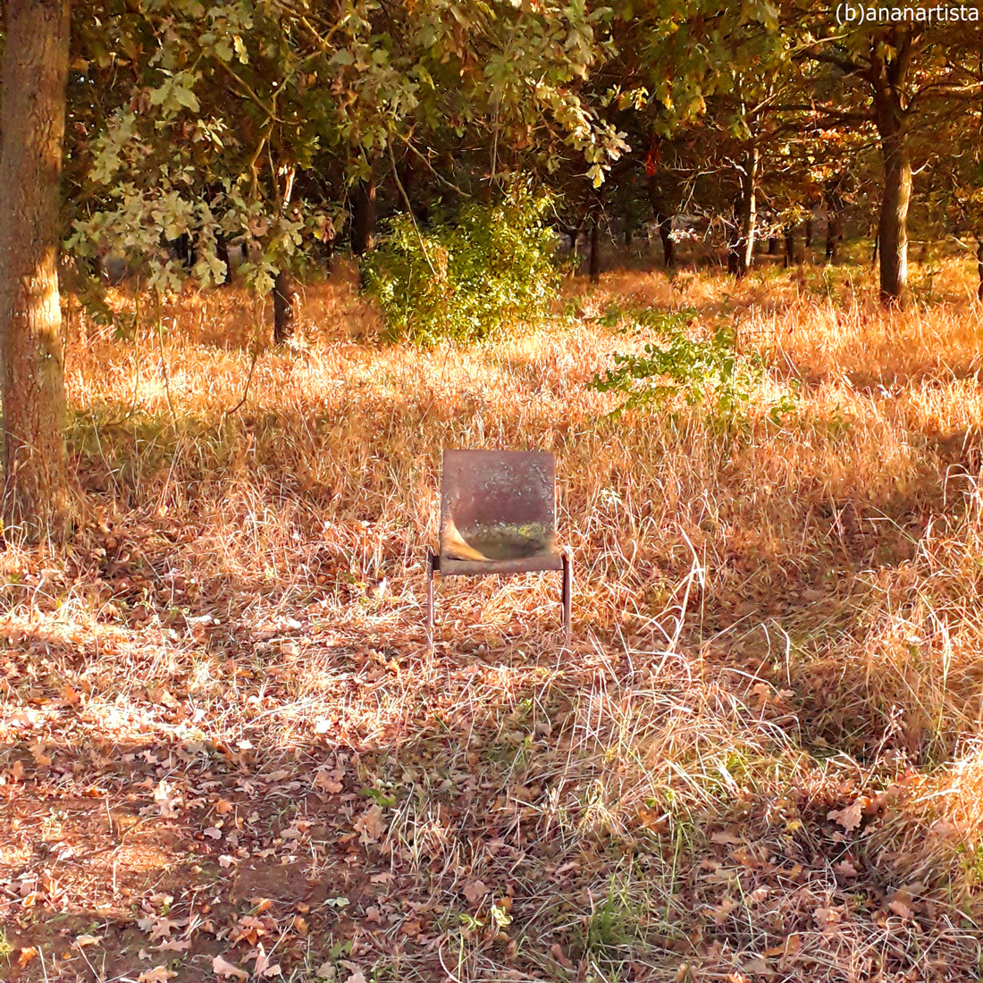 la sedia invisibile : fotografia di (b)ananartista sbuff