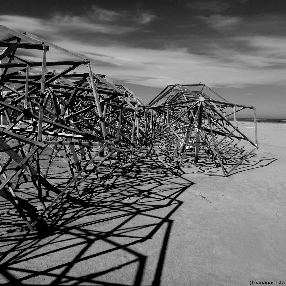 voli pindarici spiaggia fotografia di (b)ananartista sbuff