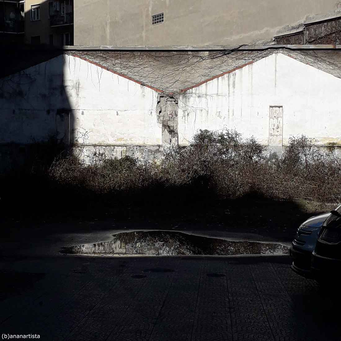 il manifesto della nuova fotografia mondiale - by (b)ananartista sbuff