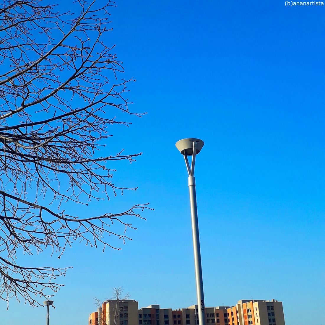 lampione fiorito - fotografia di (b)ananartista sbuff