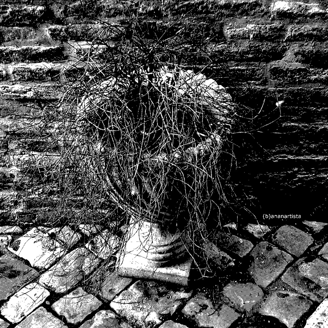 un vaso difficile bianco e nero fotografia di (b)ananartista sbuff