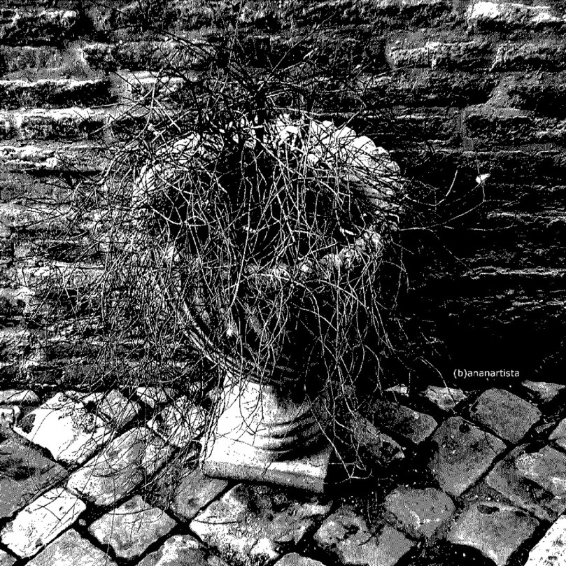 un vaso difficile bianco e nero fotografia di (b)ananartista sbuff