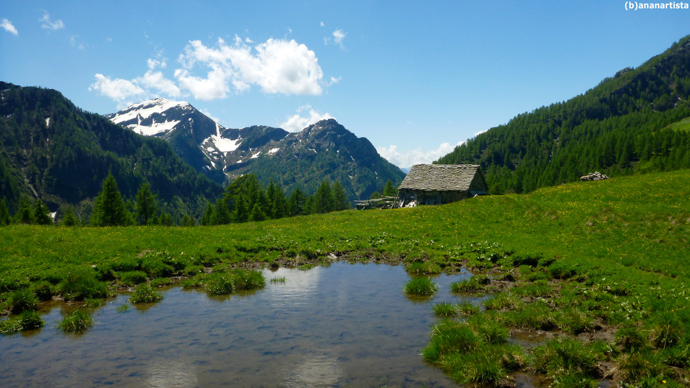 beautiful landscape in the alsp 04 by (b)ananartista sbuff