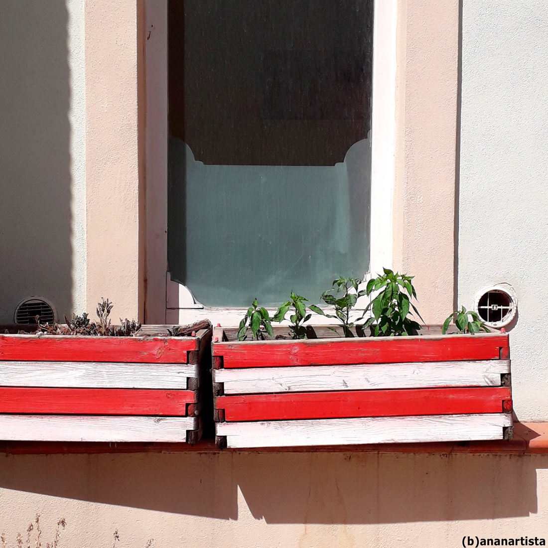 Österreichische Pflanzgefäße - photography by (b)ananartista sbuff