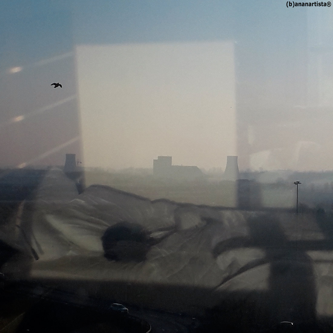 the migration - photogray by (b)ananartista sbuff