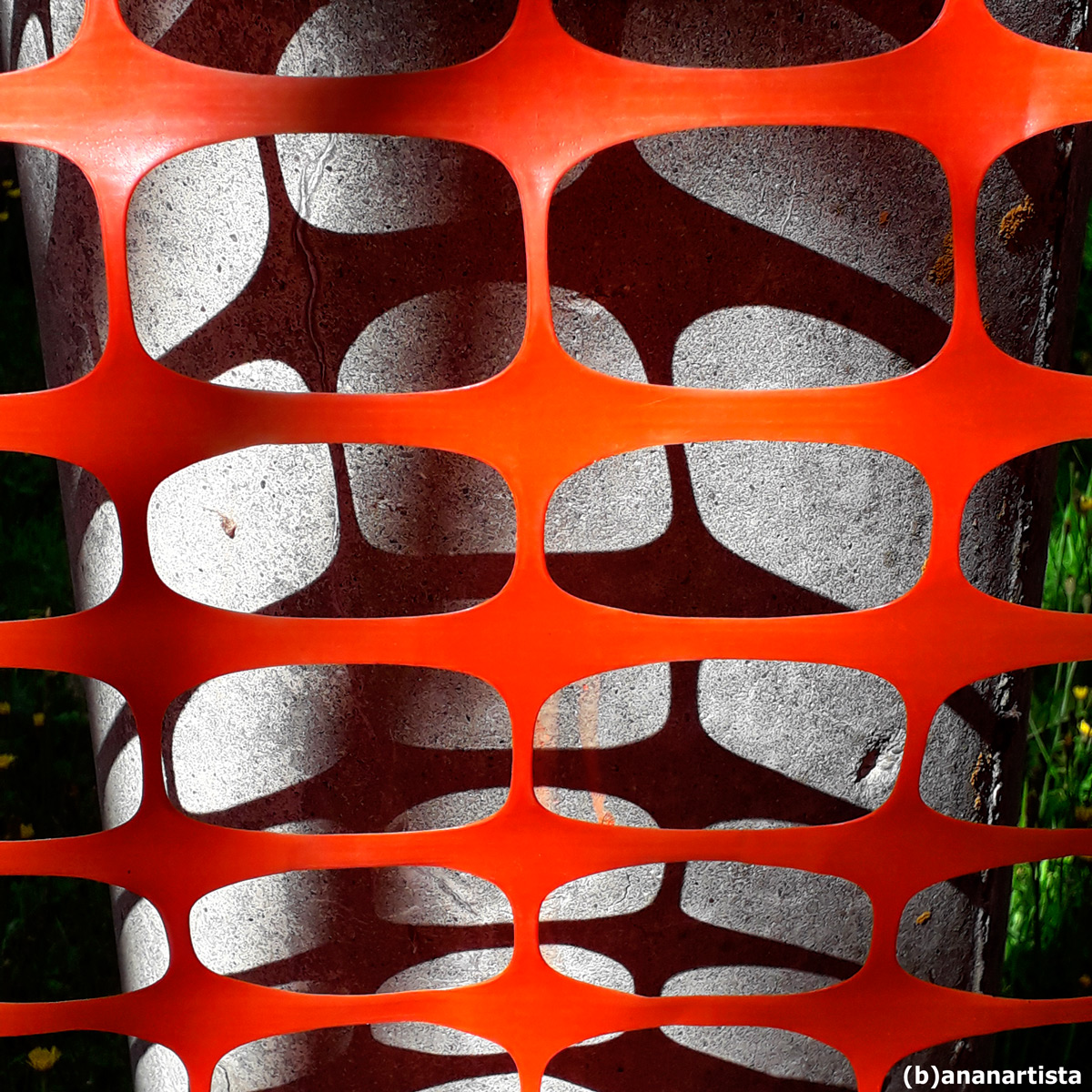 rete categoriale : fotografia di (b)ananartista sbuff