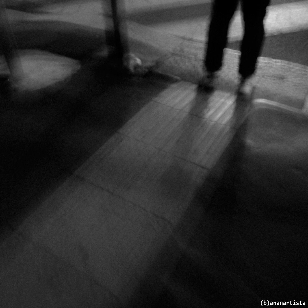 brusio cianotico Archaeopteryx fotografia di (b)ananartista sbuff