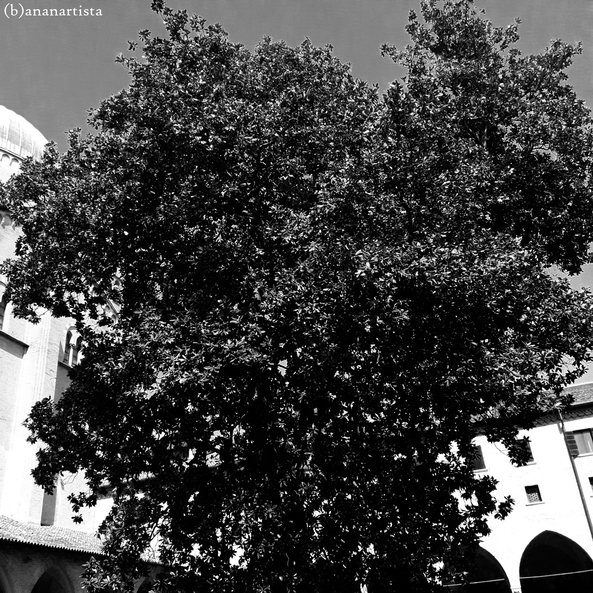 GOLEM massa informe fotografia di (b)ananartista sbuff