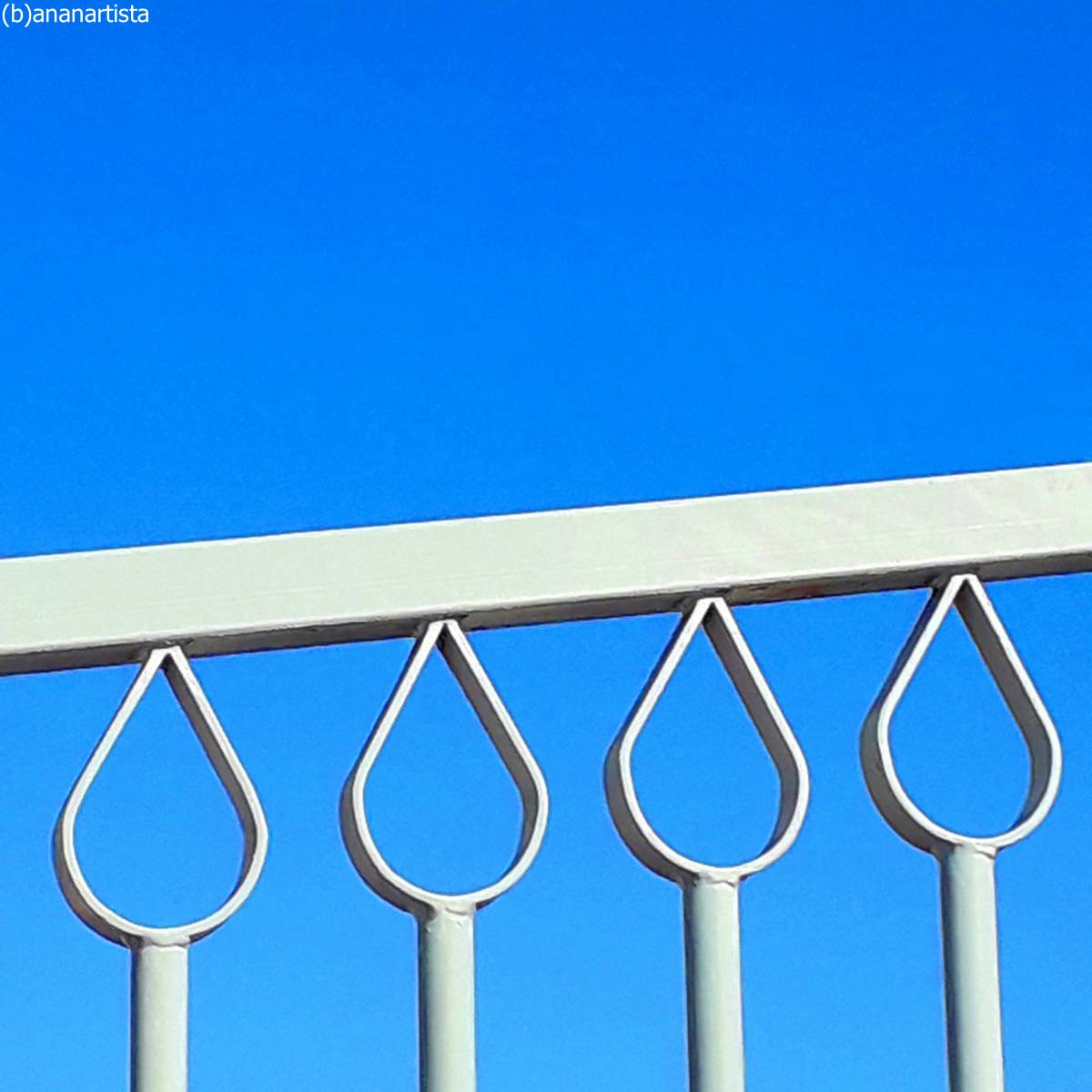 ara aurea fotografia geometrica di (b)ananartista sbuff