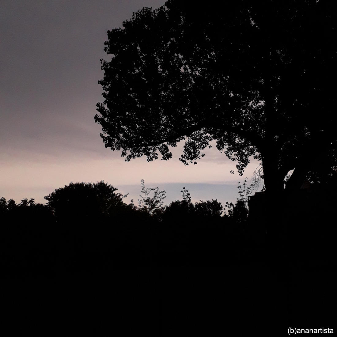 horror mediterraneo fotografia di (b)ananartista sbuff