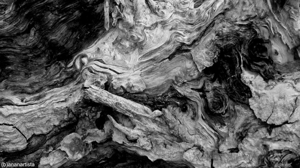 concezione astratta fotografia di (b)ananartista sbuff